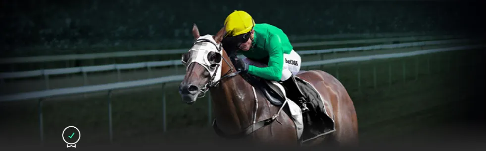 骑士队创队,史最佳战绩,首季,B体育,B体育,B,SPORTS,B体育官网