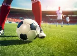 辽宁与上海,男篮重逢,备战热身赛,B体育,B体育,B,SPORTS,B体育官网